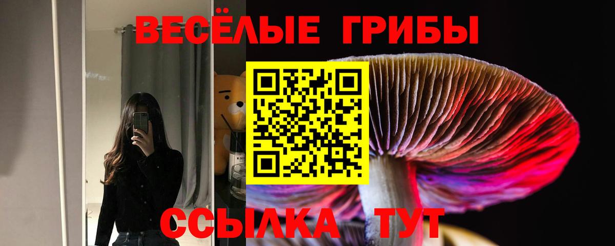 Костомукша  Псилоцибиновые грибы Magic Shrooms  Вход с VPN  Галлюциногенные грибы GOLDEN TEACHER 